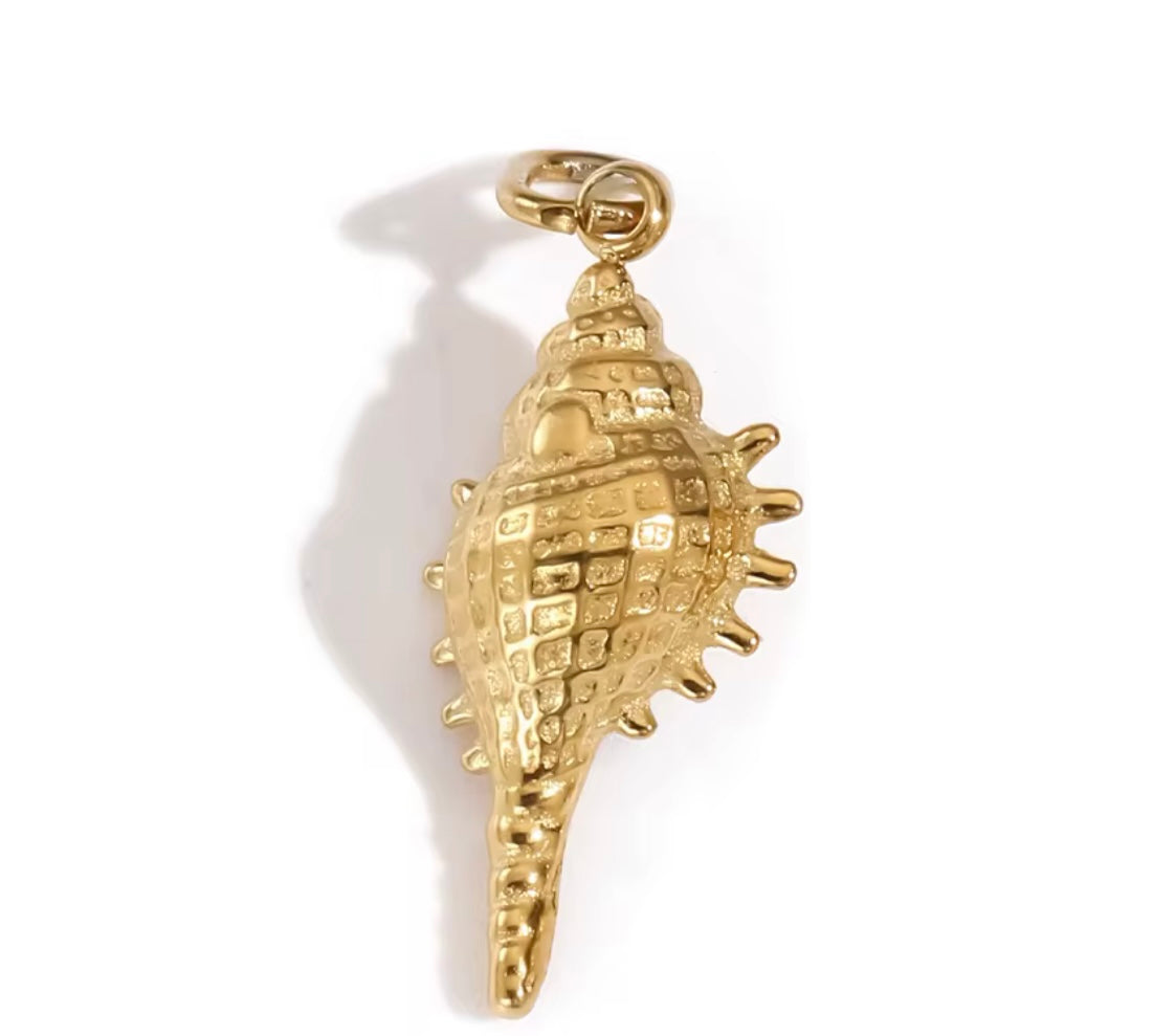 LONG SEASHELL