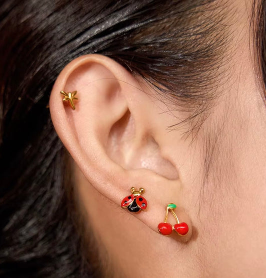 Ladybug Dragonfly Cherry Earrings Set