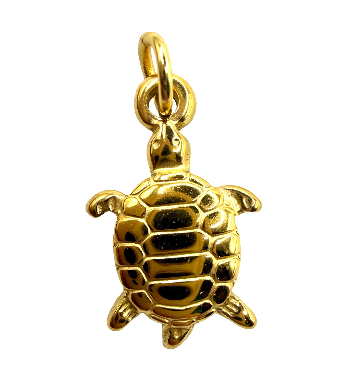 SEA TURTLE CHARM