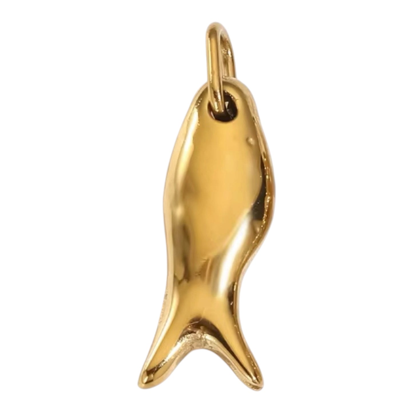 FISH CHARM